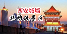 骚妇求插视频网中国陕西-西安城墙旅游风景区