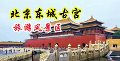91电影女女爱爱中国北京-东城古宫旅游风景区